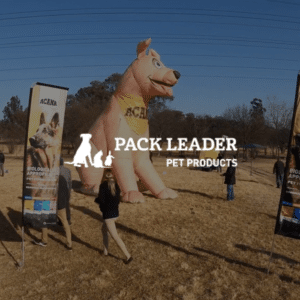 Pack Leader and Jawbone Brand Activation